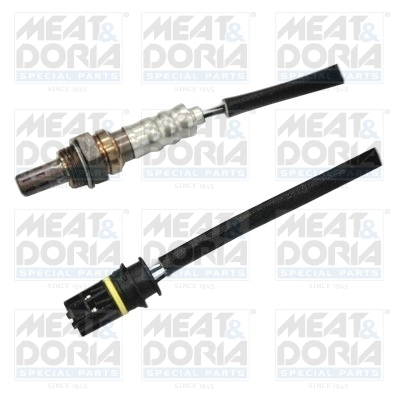 Oxygen Sensor